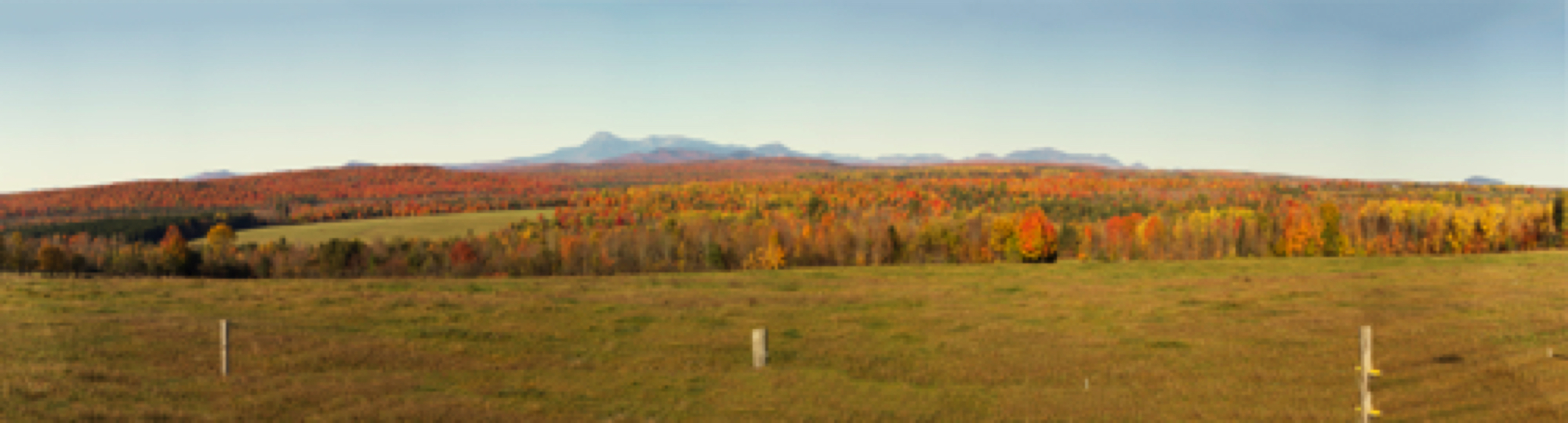 Fall Color_Pano.jpg